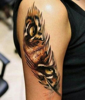 Tatouage plume sur le haut du bras avec un remplssage félin